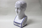 Phrenology Huvud 30x15 cm